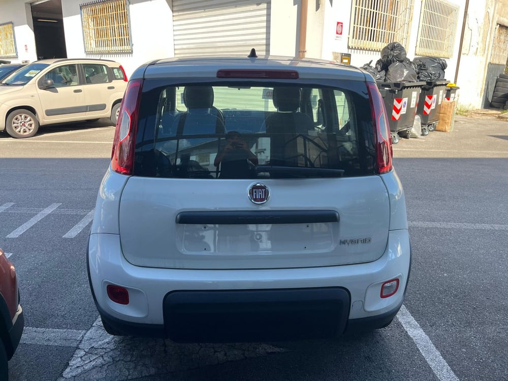 Fiat Panda Cross nuova a Lucca (6)