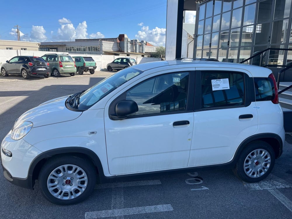 Fiat Panda Cross nuova a Lucca (8)