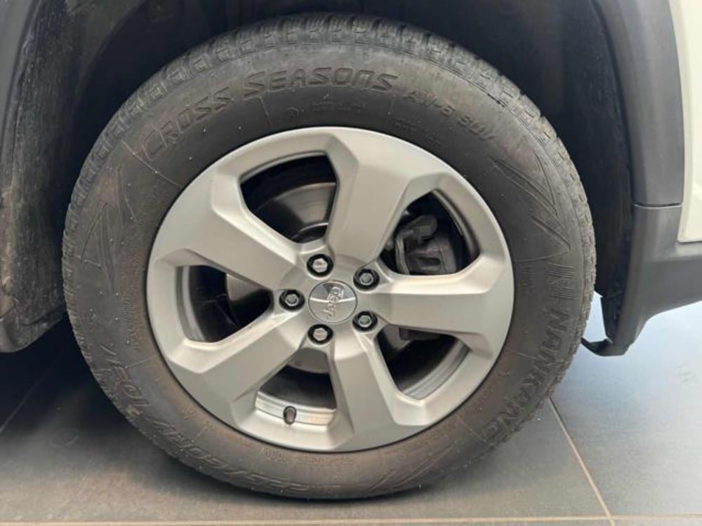 Jeep Compass usata a Vercelli (14)
