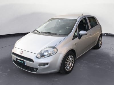 Fiat Punto 1.3 MJT II S&amp;S 95 CV 5 porte Street del 2016 usata a Catania