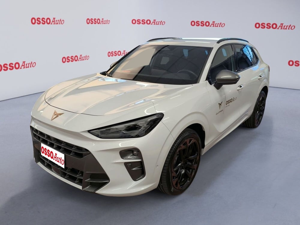 Cupra Terramar usata a Udine
