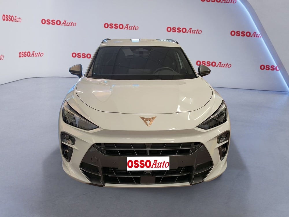Cupra Terramar usata a Udine (5)