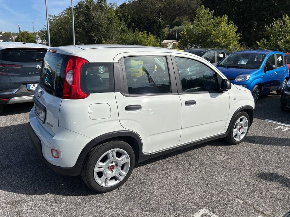 Fiat Panda usata a Roma (6)