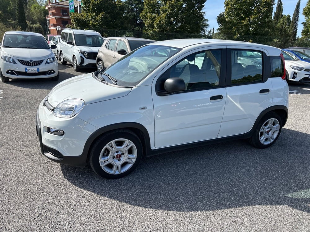 Fiat Panda usata a Roma (8)