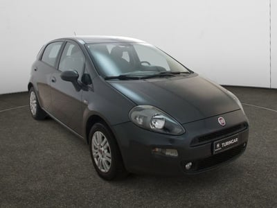 Fiat Punto 1.2 8V 5 porte Street del 2014 usata a Torino