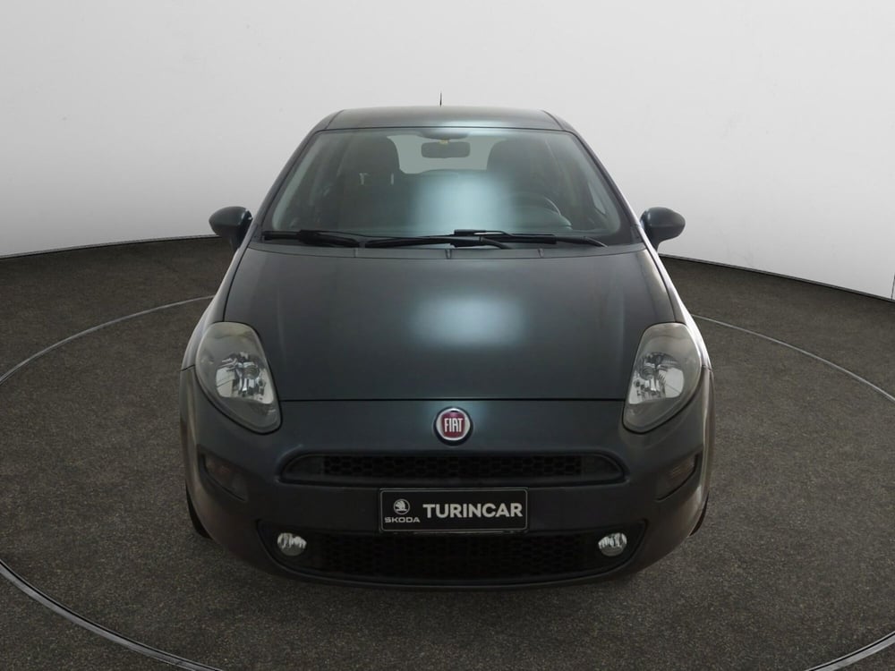 Fiat Punto usata a Torino (2)