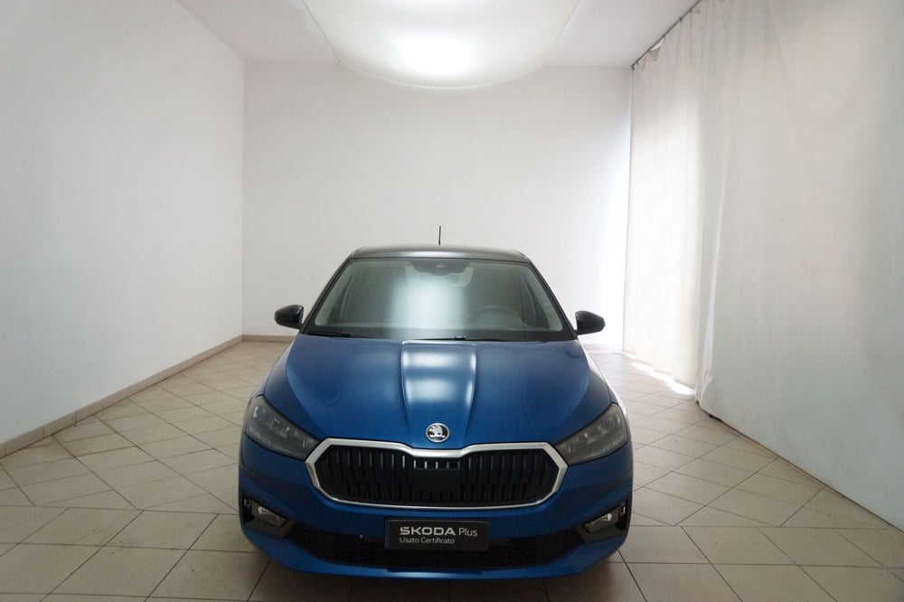 Skoda Fabia usata a Torino (2)