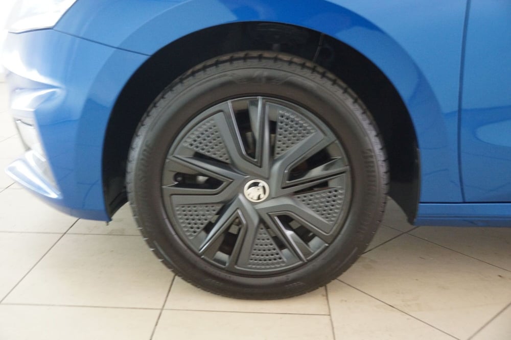 Skoda Fabia usata a Torino (20)