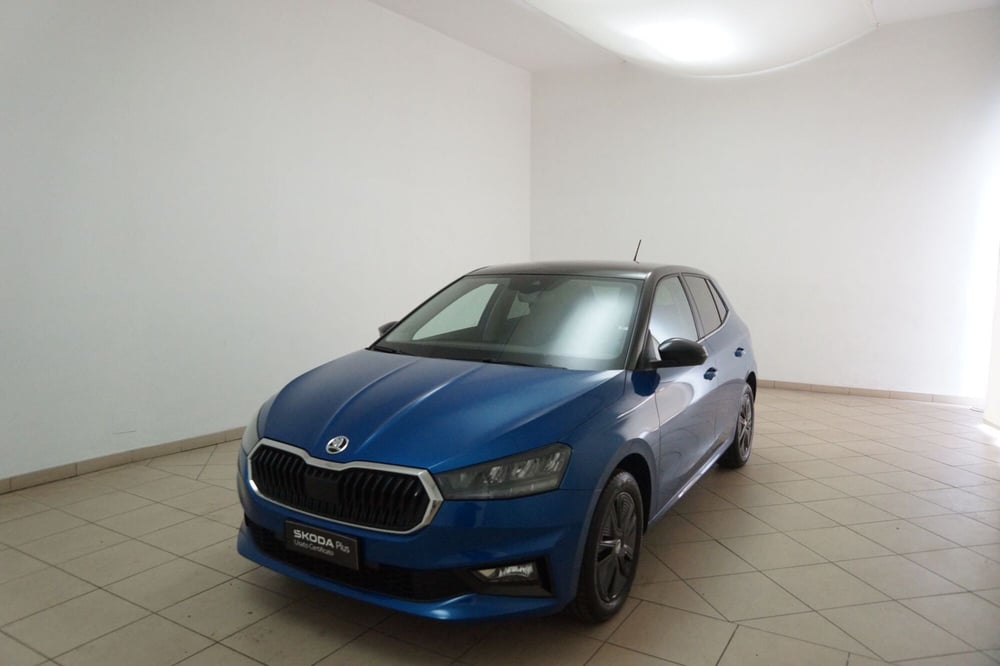Skoda Fabia usata a Torino (3)