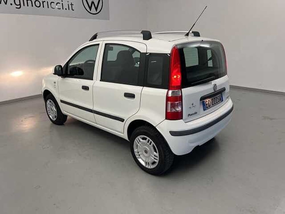 Fiat Panda usata a Forlì-Cesena (6)