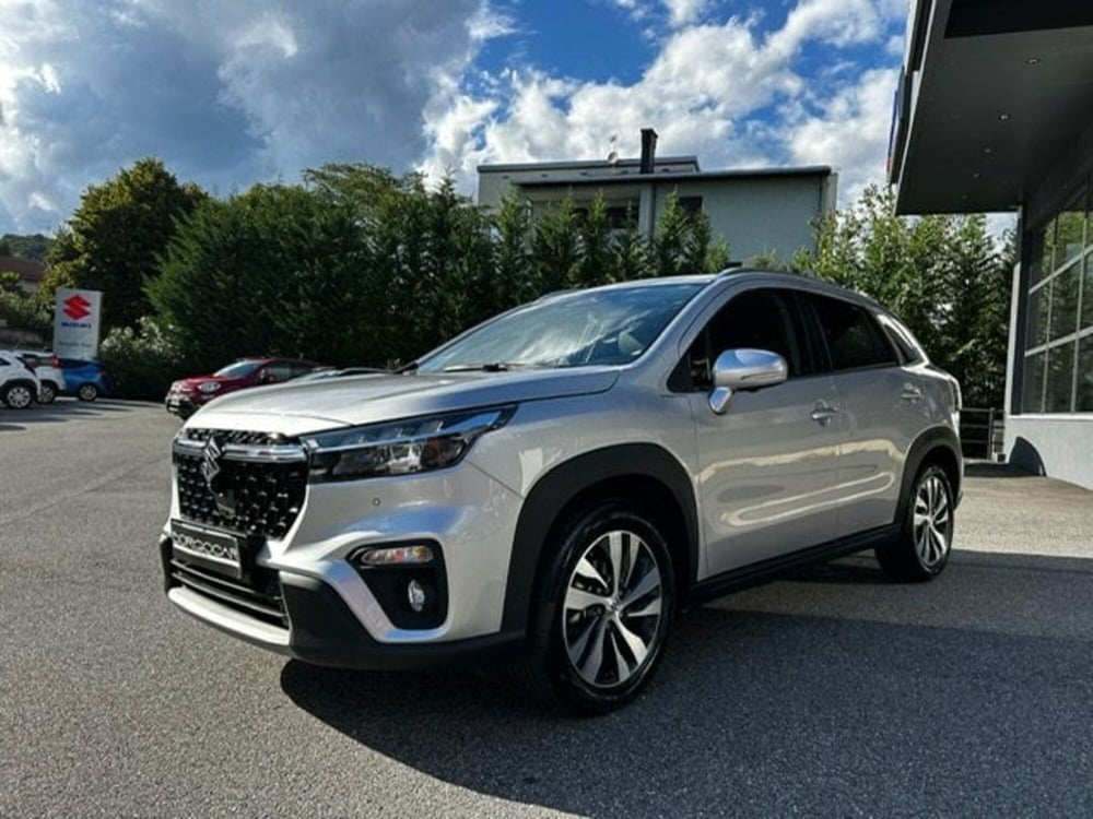 Suzuki S-Cross usata a Vercelli (3)