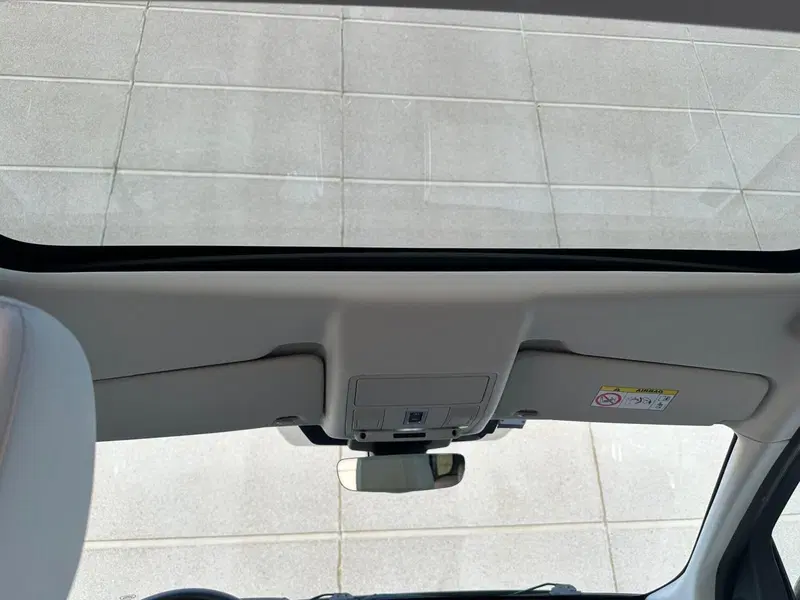 Land Rover Discovery Sport usata a Caserta (9)