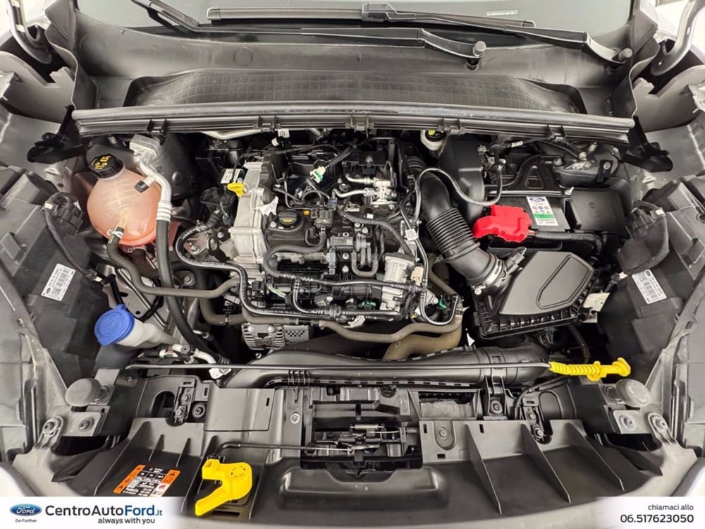 Ford Puma usata a Roma (12)