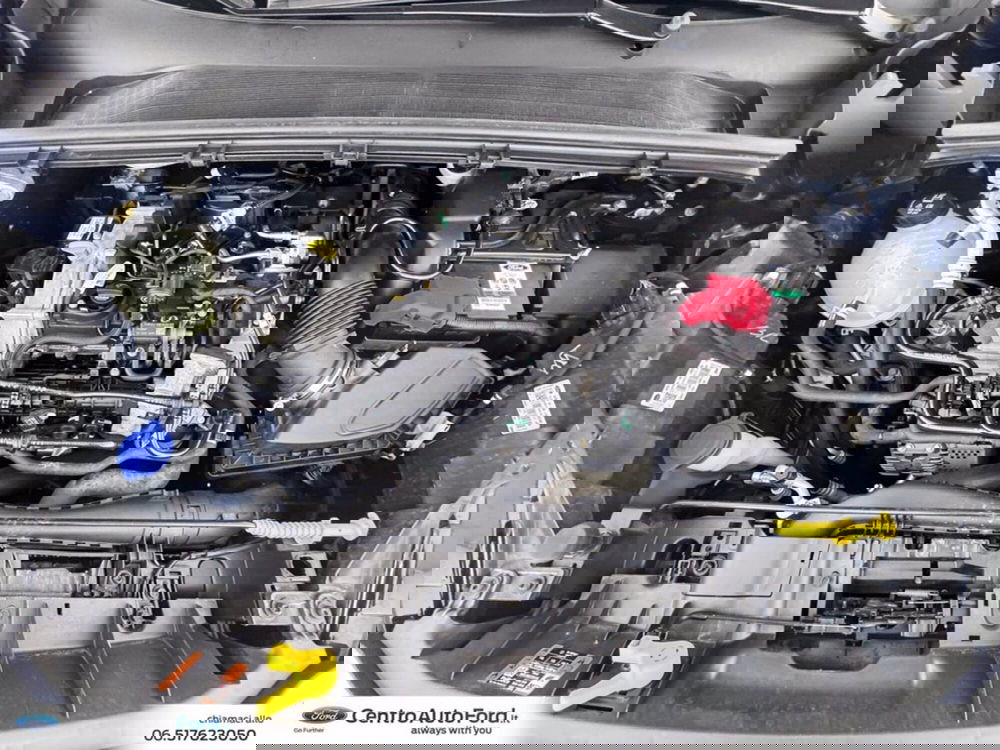 Ford Puma usata a Roma (12)