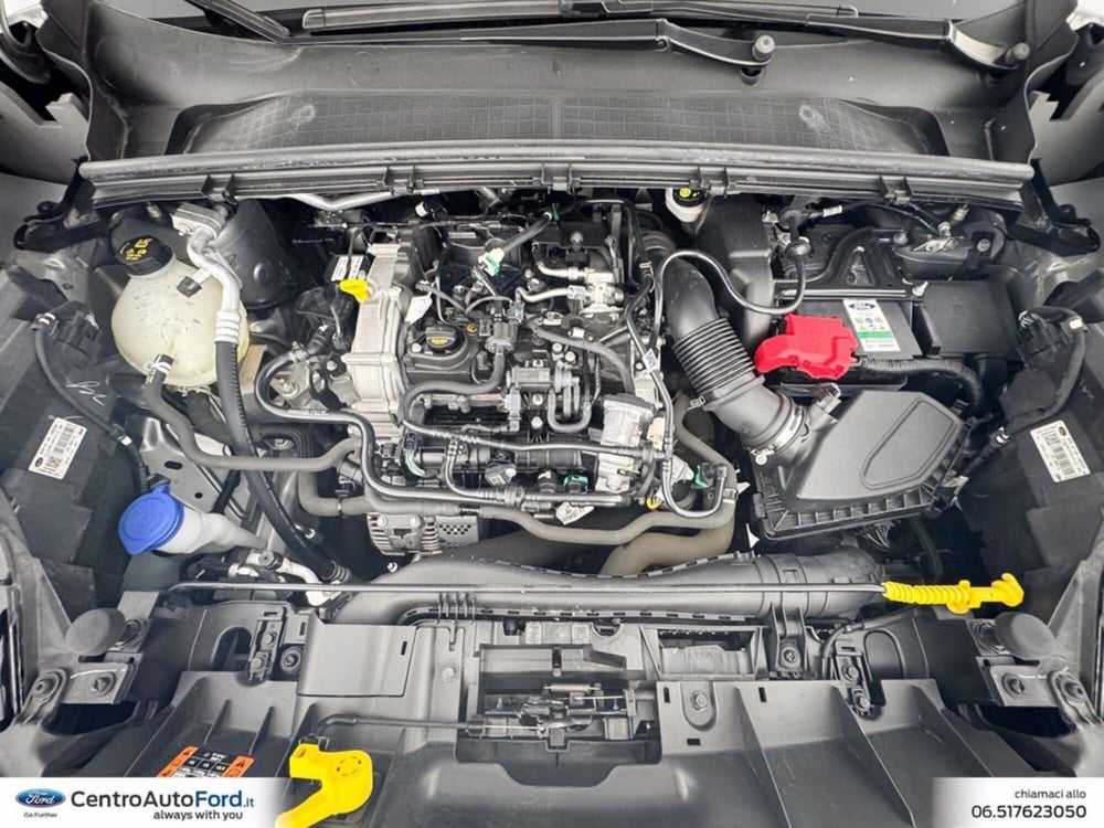 Ford Puma usata a Roma (13)