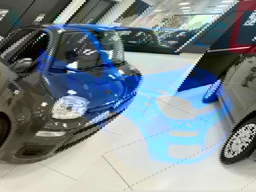 Fiat Panda nuova a Milano (2)