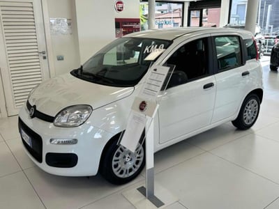 Fiat Panda 1.0 firefly hybrid s&amp;s 70cv 5p.ti nuova a Rho
