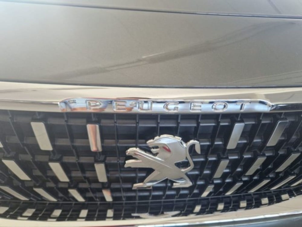 Peugeot 3008 usata a Terni (20)