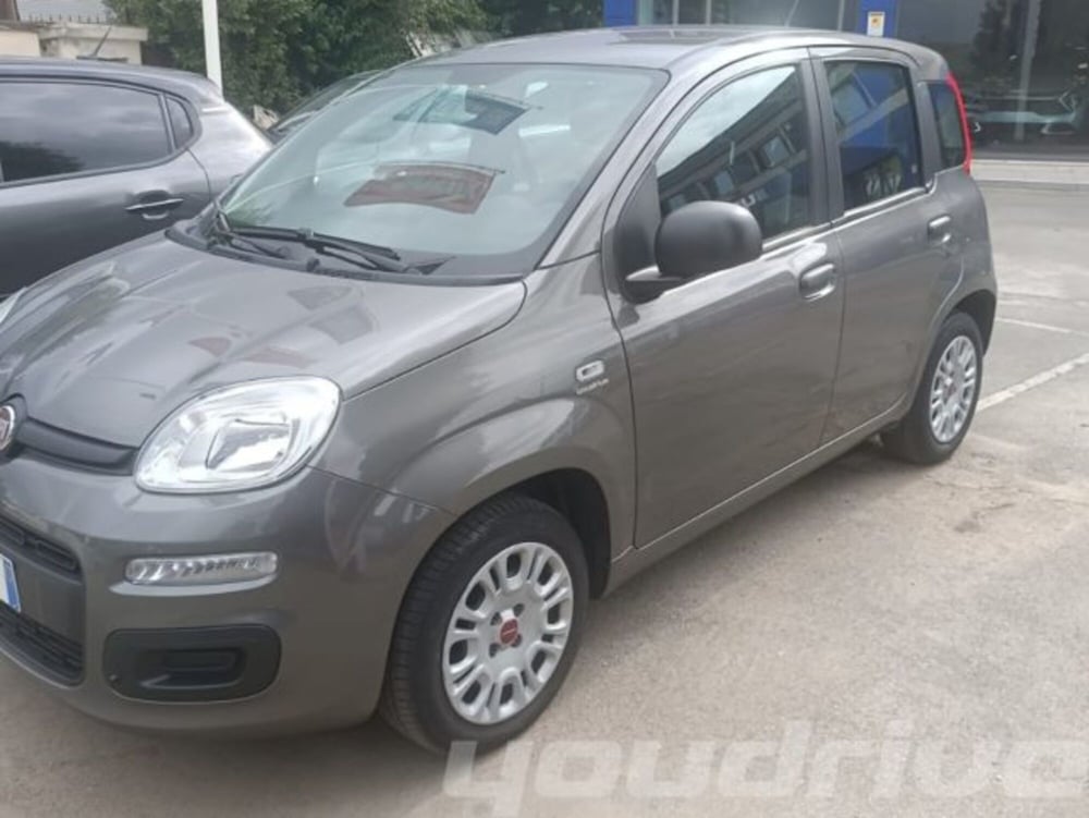 Fiat Panda usata a Napoli (2)