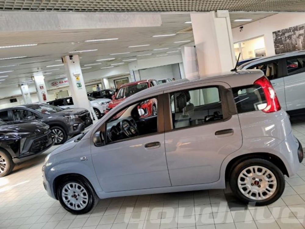 Fiat Panda usata a Napoli (2)