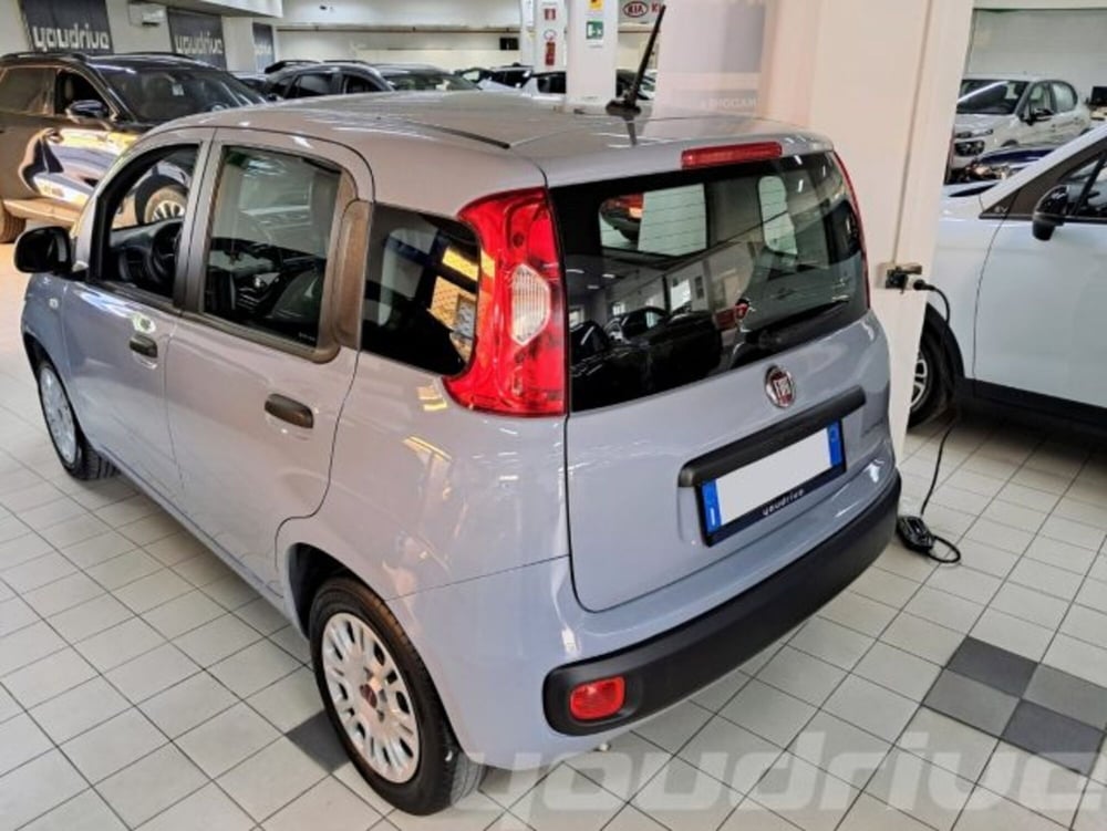Fiat Panda usata a Napoli (3)