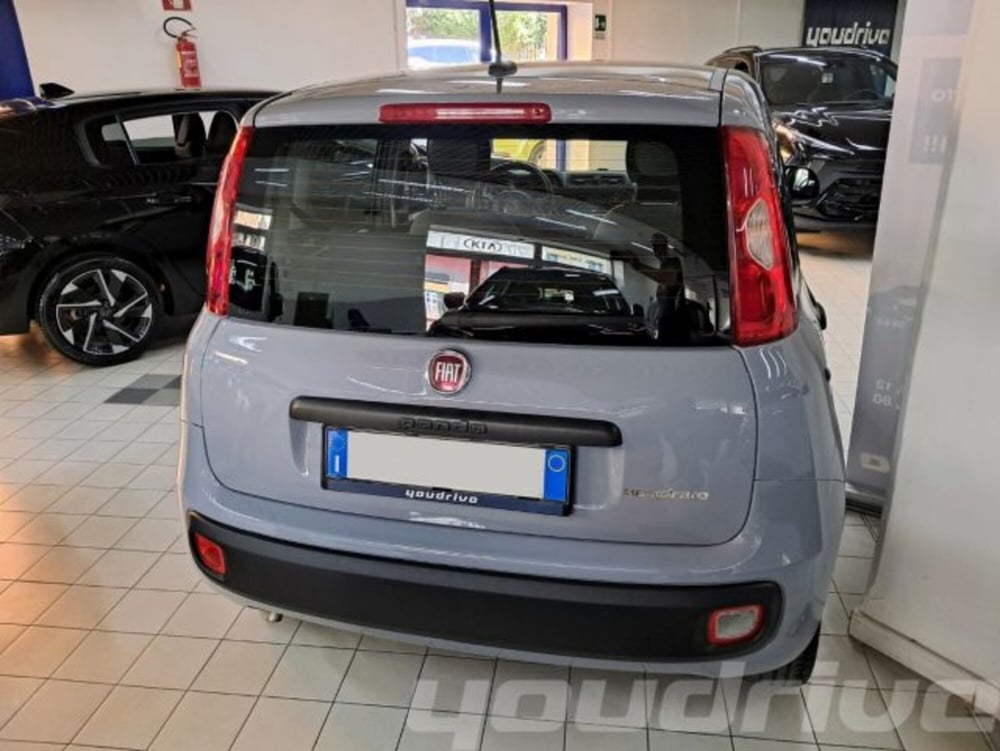 Fiat Panda usata a Napoli (4)