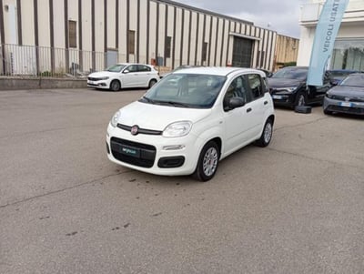Fiat Panda 1.0 firefly hybrid s&amp;s 70cv 5p.ti del 2022 usata a Borgo San Lorenzo