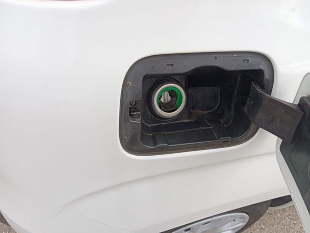Fiat Panda usata a Firenze (16)