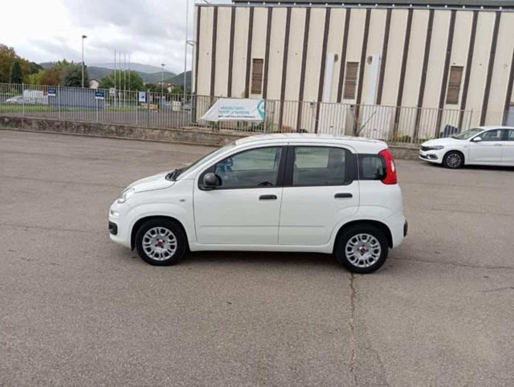 Fiat Panda usata a Firenze (19)