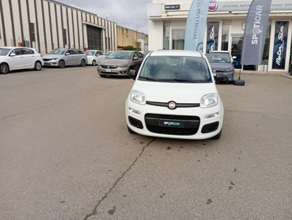 Fiat Panda usata a Firenze (2)