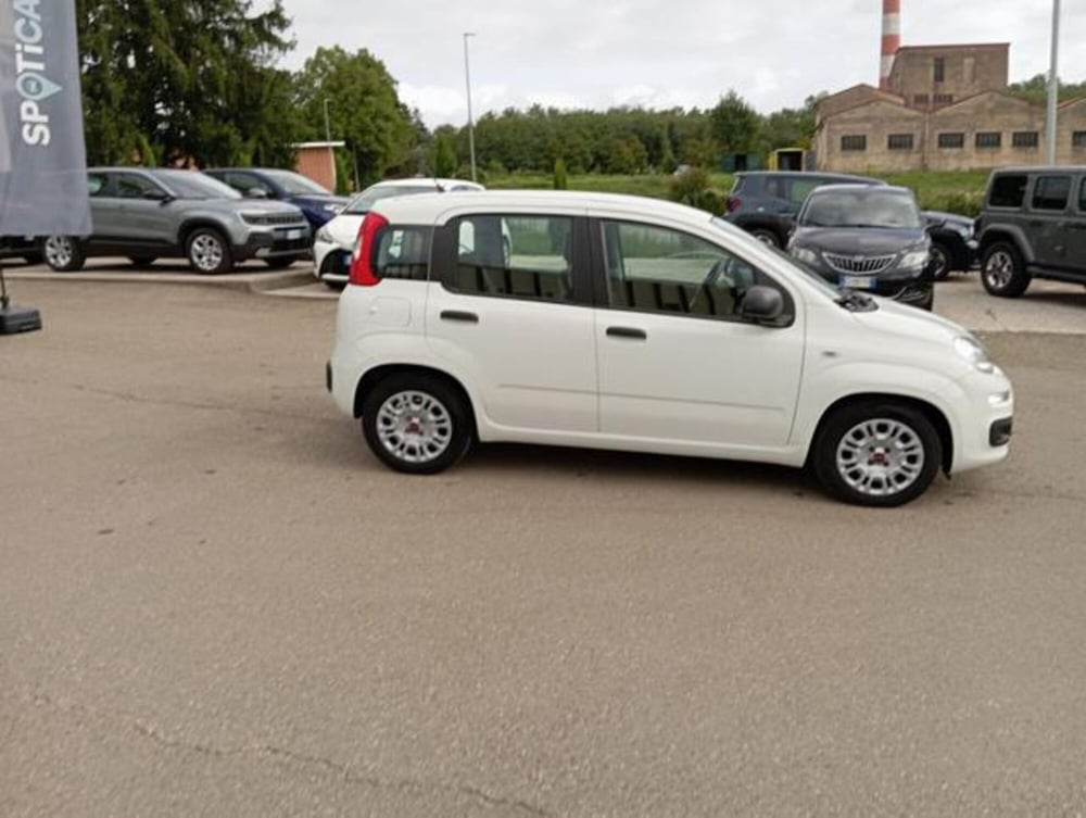Fiat Panda usata a Firenze (4)