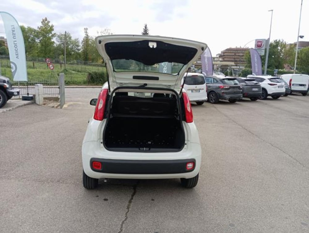 Fiat Panda usata a Firenze (6)