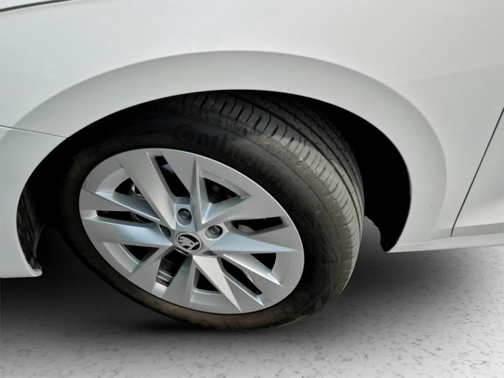 Skoda Octavia Station Wagon usata a Padova (9)
