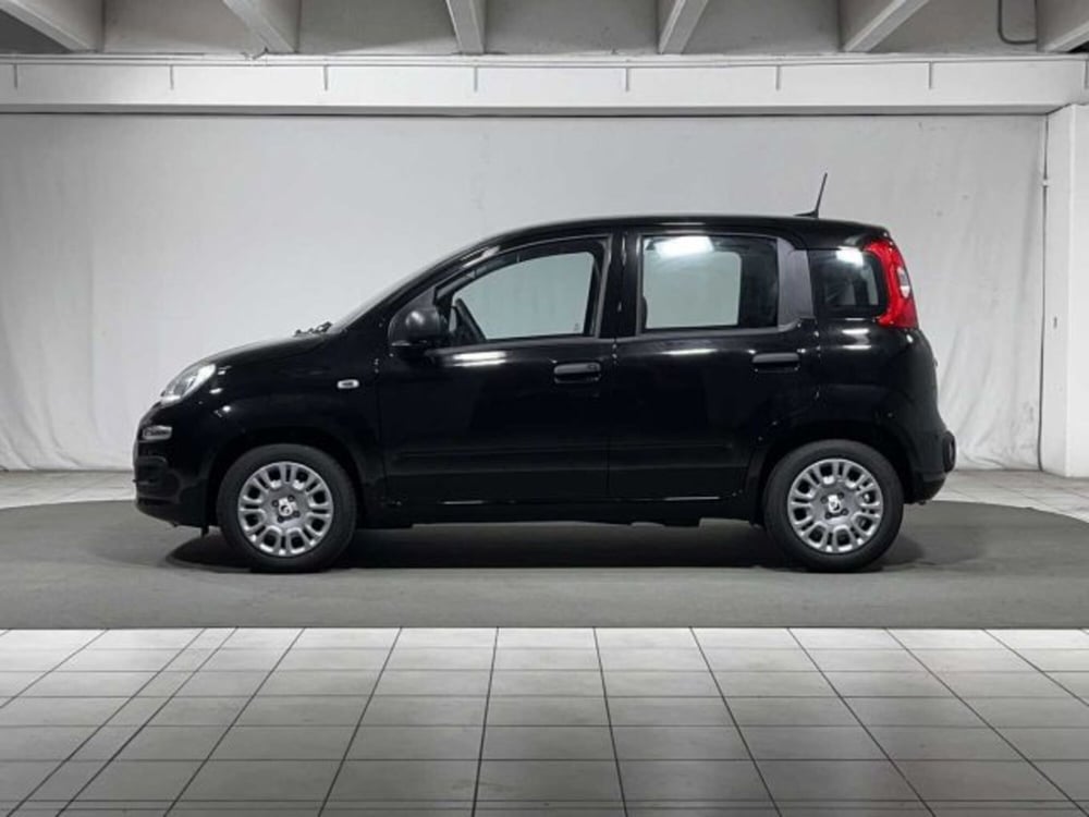 Fiat Panda nuova a Sondrio (2)
