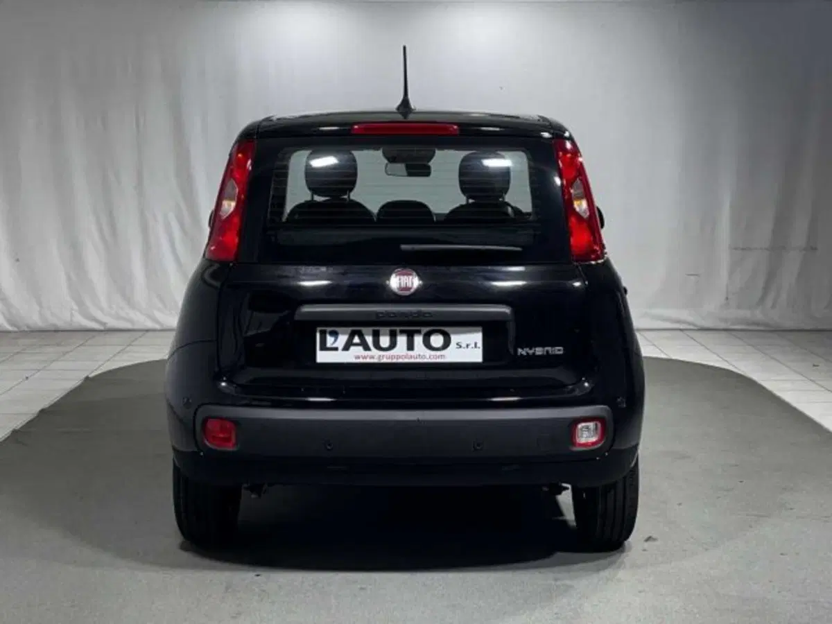 Fiat Panda nuova a Sondrio (4)