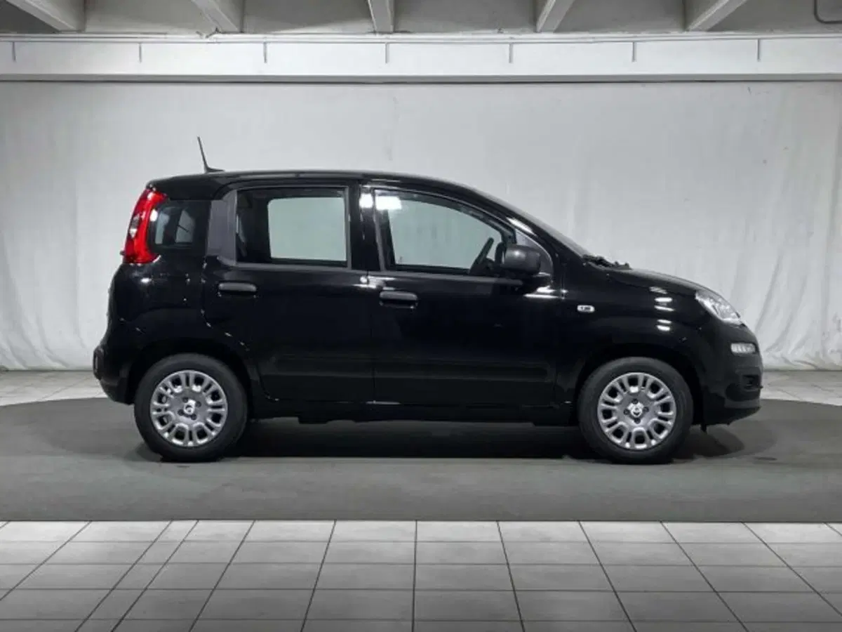 Fiat Panda nuova a Sondrio (6)