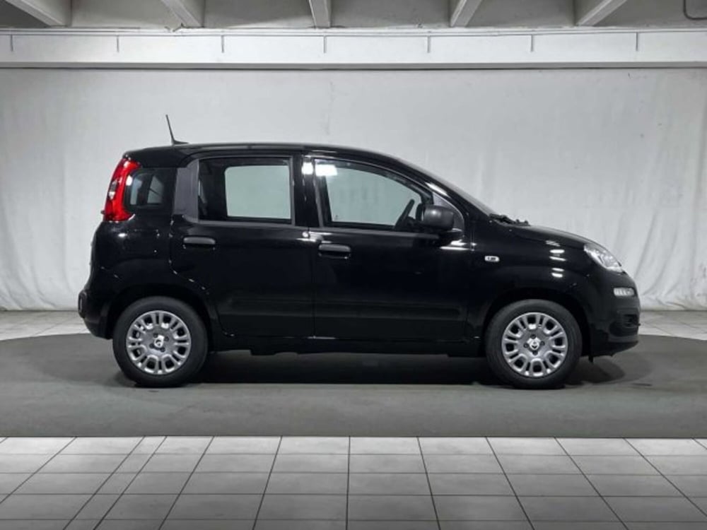 Fiat Panda nuova a Sondrio (6)