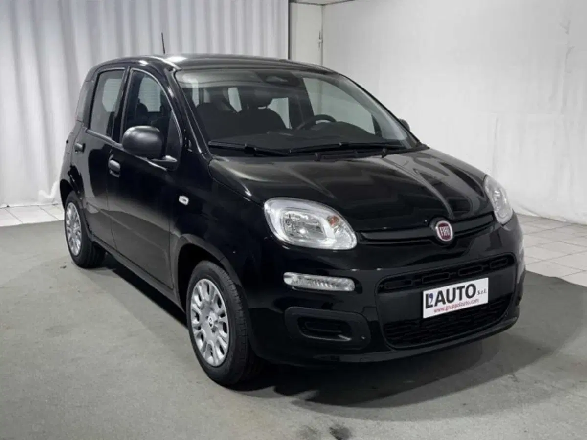 Fiat Panda nuova a Sondrio (7)