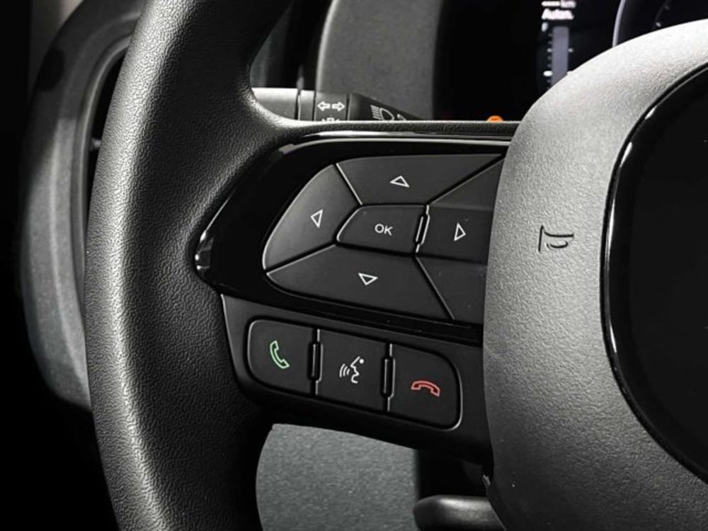 Fiat Panda nuova a Sondrio (19)