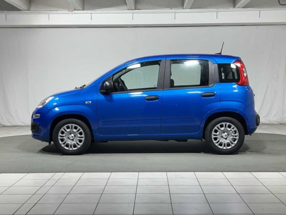 Fiat Panda nuova a Sondrio (2)