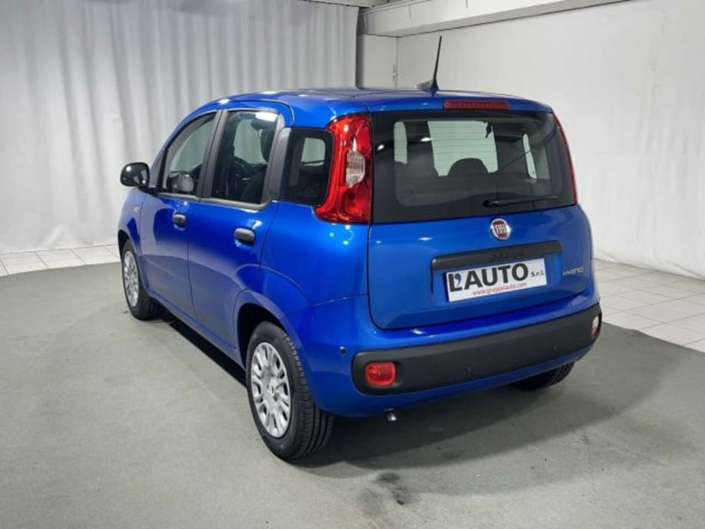 Fiat Panda nuova a Sondrio (3)