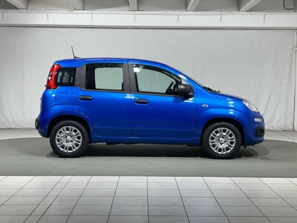 Fiat Panda nuova a Sondrio (6)