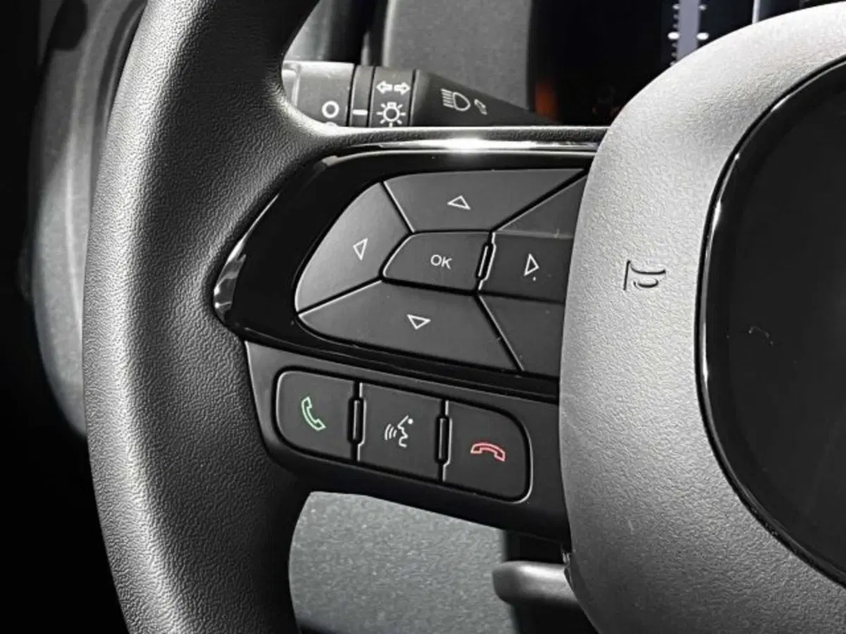 Fiat Panda nuova a Sondrio (19)