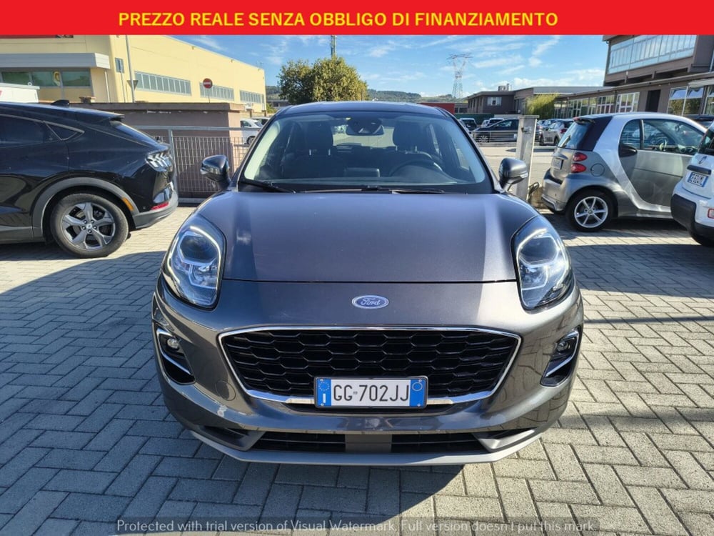 Ford Puma usata a Firenze (2)