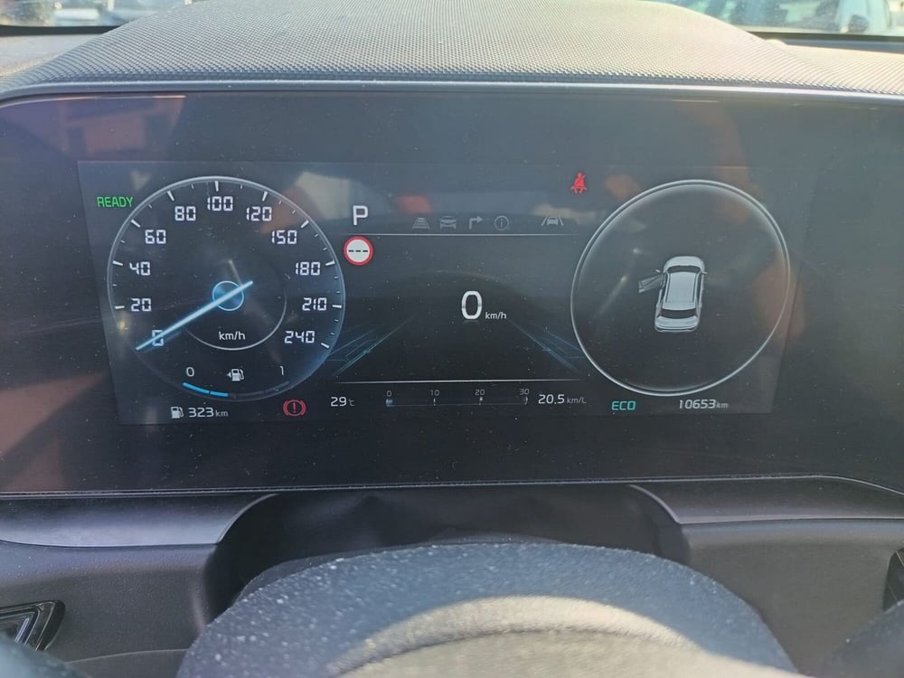 Kia Niro usata a Alessandria (20)