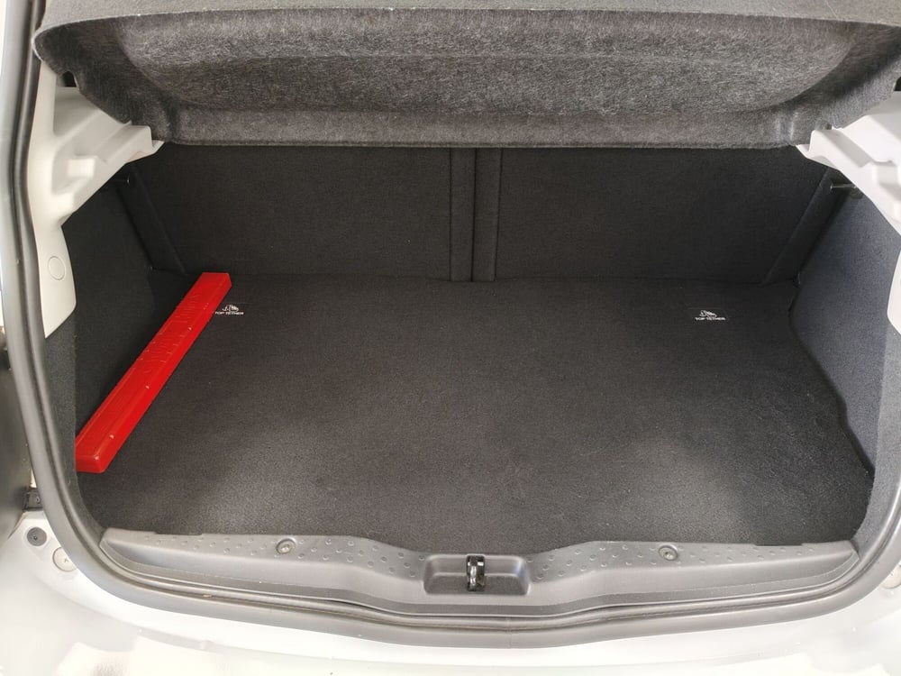 smart forfour usata a Roma (12)