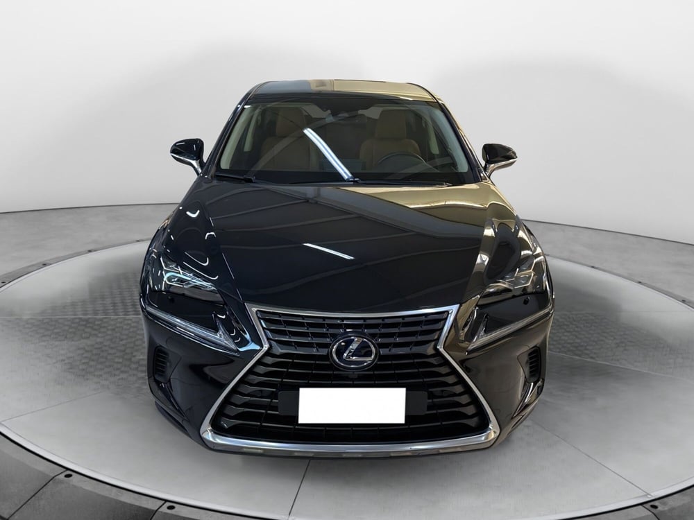 Lexus NX usata a Bologna (2)