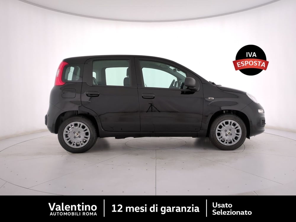 Fiat Panda nuova a Roma (2)