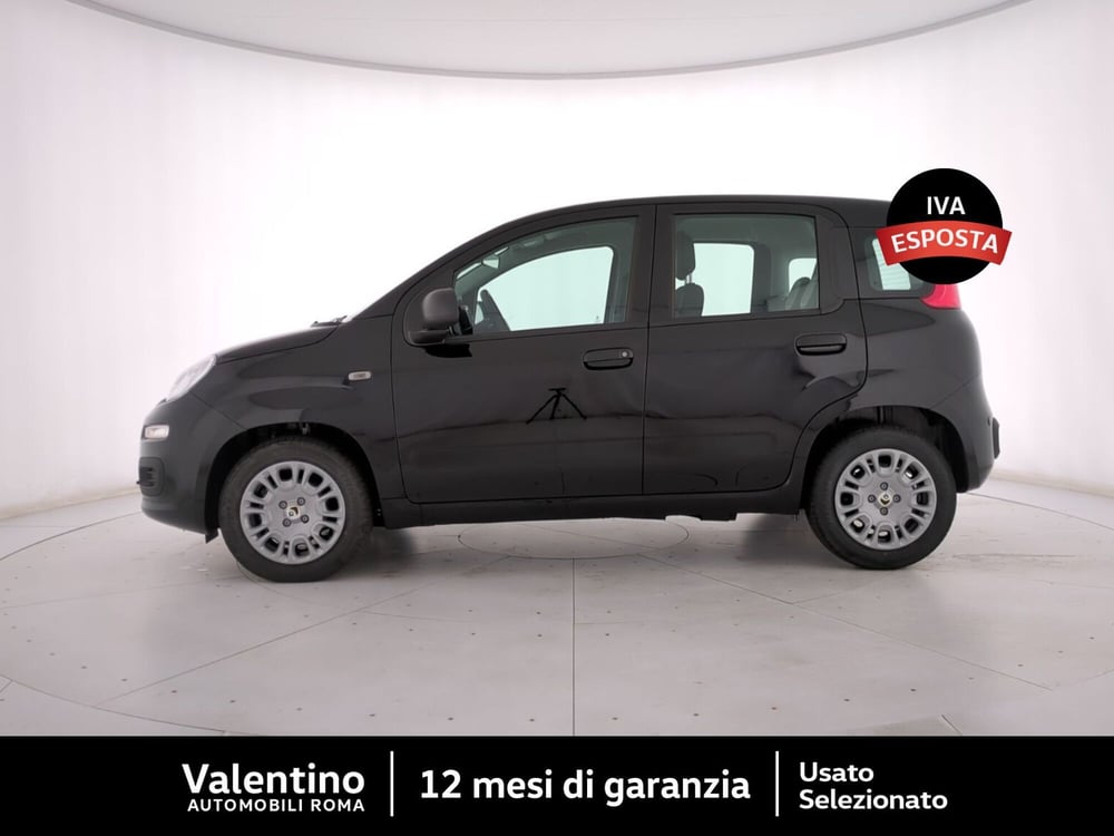 Fiat Panda nuova a Roma (4)