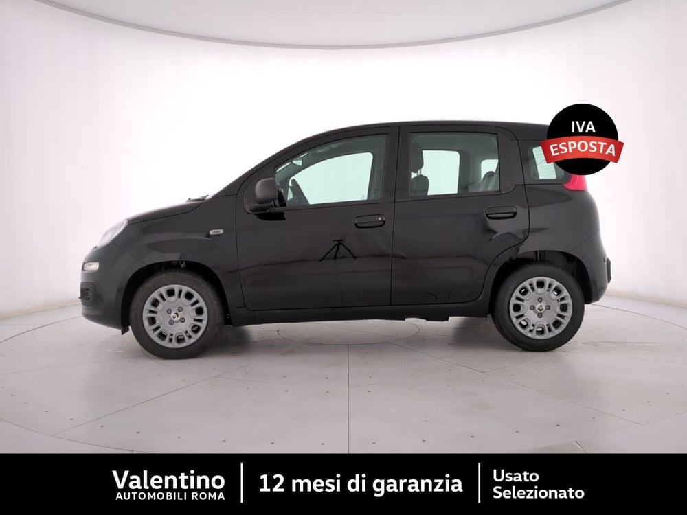 Fiat Panda nuova a Roma (2)